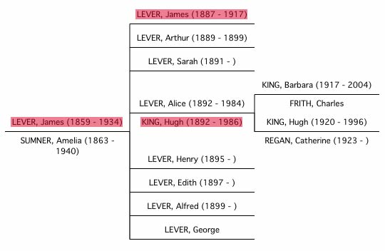 Lever family tree diagram